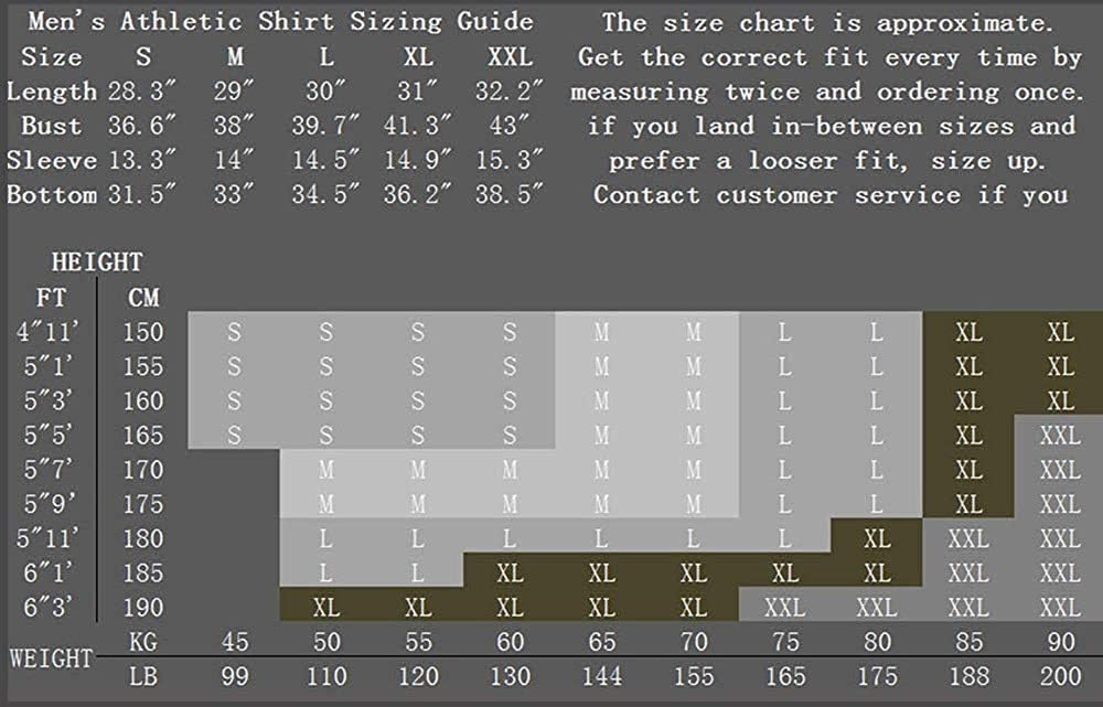 CHOO Men's Lion Series MMA BJJ Cross Training Rash Guard Shorts Spat No Gi Set - Image 7